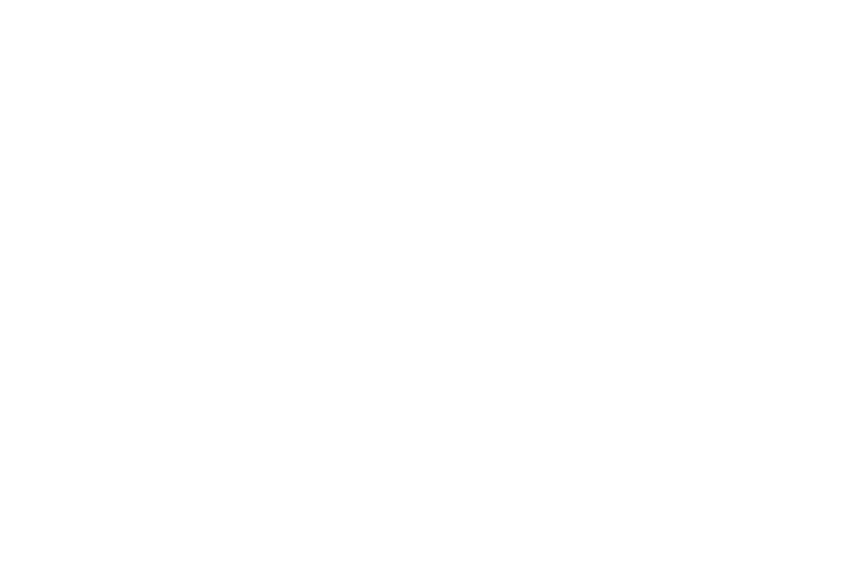Massimiliano Vio